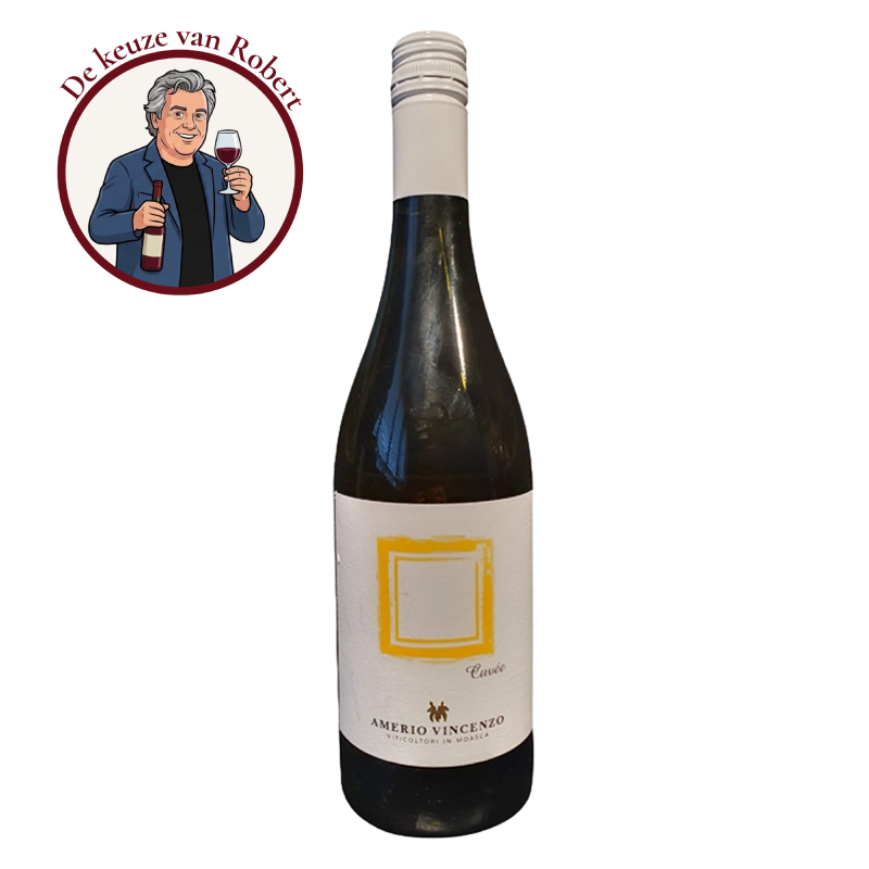Amerio Vincenzo - Piemonte Cortese Chardonnay